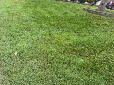 Lawn Care service in Union, 63084