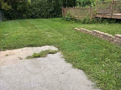 Lawn Care service in Clayton, 63105