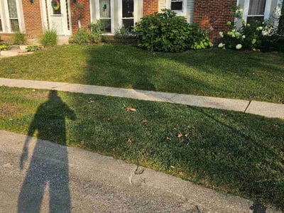 Lawn Care service in Clayton, 63105