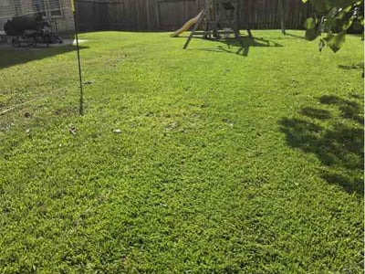 Lawn Care service in Mission, 78572