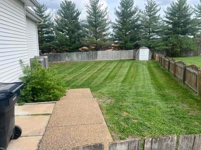 Lawn Care service in High Ridge, 63049
