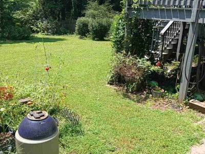 Lawn Care service in College Park, 30337