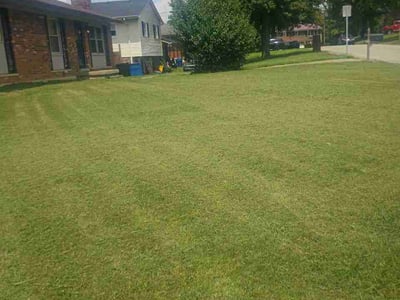 Lawn Care service in Winchester, 40391