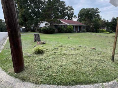 Lawn Care service in Cabot, 72023