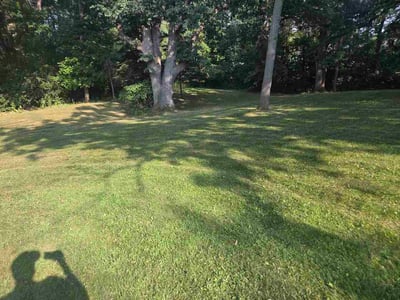 Lawn Care service in Saint Cloud, 56301