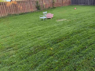 Lawn Care service in Clarksville, 47129