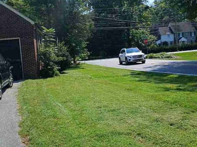 Lawn Care service in New Holland, 17557