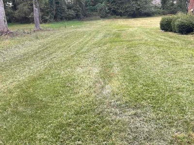 Lawn Care service in Austell, 30168