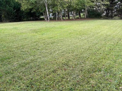 Lawn Care service in West Linn, 97068