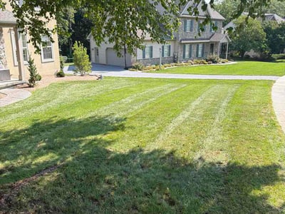 Lawn Care service in Denver, 17517