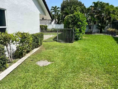 Lawn Care service in West Palm Beach, 33401