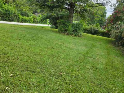 Lawn Care service in Clinton, 37716