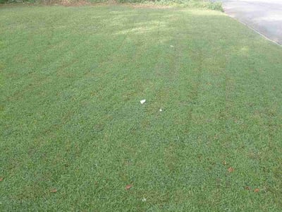 Lawn Care service in Leawood, 64804