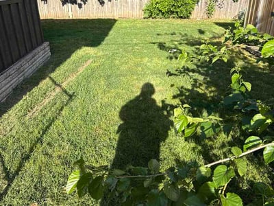 Lawn Care service in Collinsville, 74021