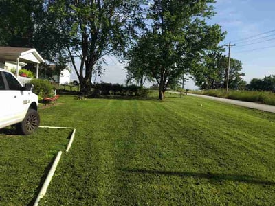 Lawn Care service in Marshfield, 65706