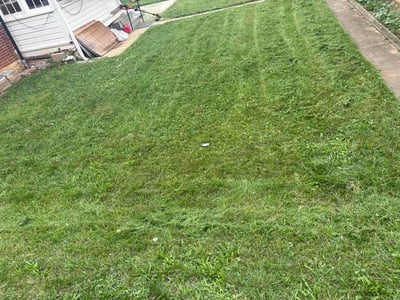 Lawn Care service in York, 17401