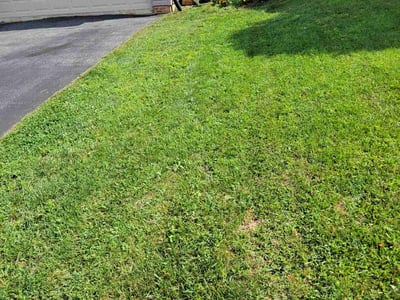 Lawn Care service in York, 17401