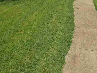 Lawn Care service in Roeland Park, 65401