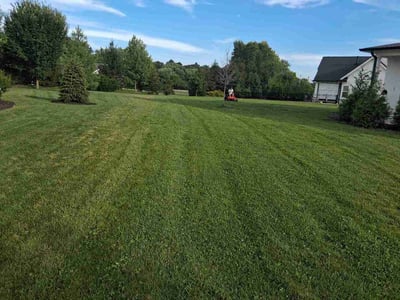 Lawn Care service in Herndon, 20170