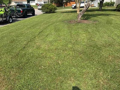 Lawn Care service in Chesapeake, 23320