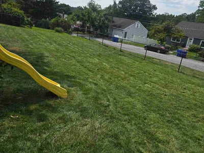 Lawn Care service in Enola, 17025