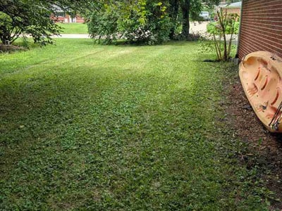 Lawn Care service in Lebanon, 46052