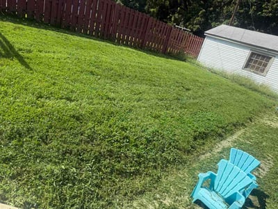 Lawn Care service in Leavenworth, 66048