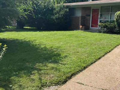 Lawn Care service in Fenton, 63026