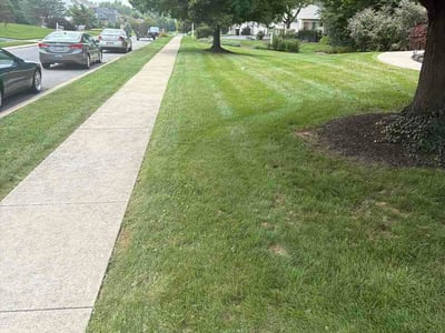 Lawn Care service in Lancaster, 17602