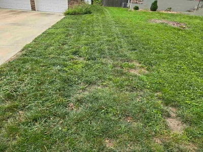 Lawn Care service in Lees Summit, 64063
