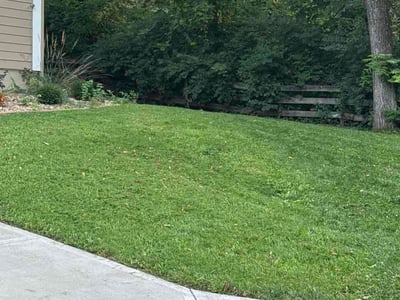 Lawn Care service in Republic, 65738