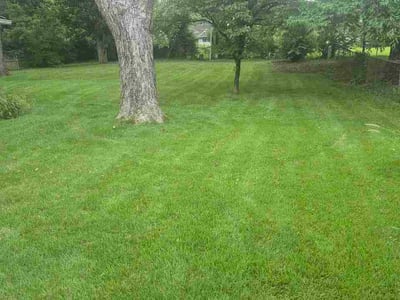 Lawn Care service in Paola, 66071