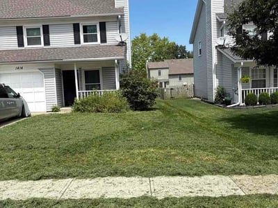 Lawn Care service in Lees Summit, 64063