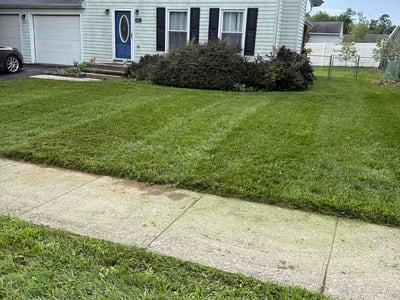 Lawn Care service in Camp Hill, 17011
