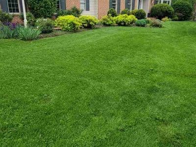 Lawn Care service in Lititz, 17543
