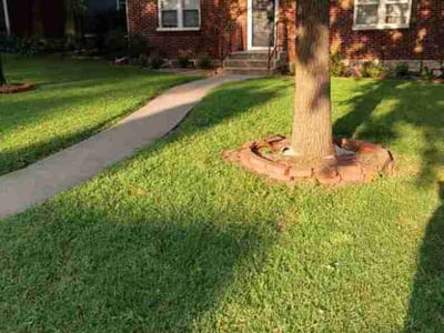Lawn Care service in Parkville, 64152