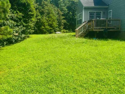 Lawn Care service in Henrico, 23294