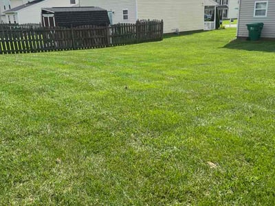 Lawn Care service in Henrico, 23294