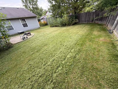 Lawn Care service in Franklin, 46131