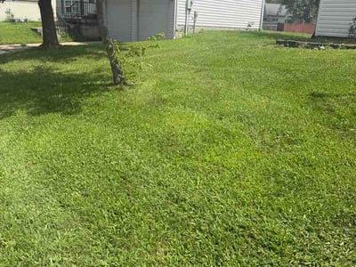 Lawn Care service in Franklin, 46131