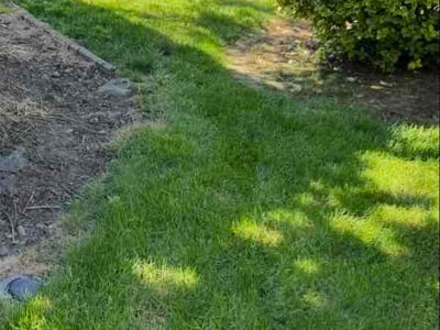 Lawn Care service in Canby, 97013