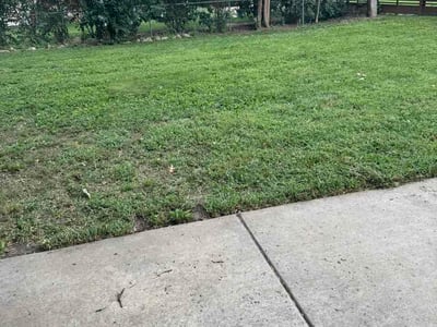 Lawn Care service in Gardner, 66030