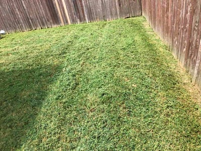 Lawn Care service in Sapulpa, 74066