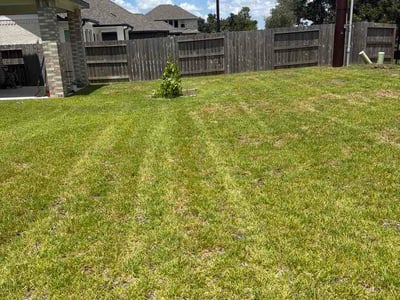 Lawn Care service in Richmond, 77469