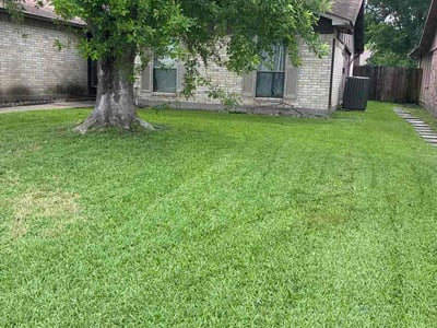 Lawn Care service in Freeport, 77541