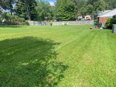 Lawn Care service in Richmond, 23219