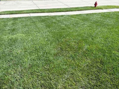 Lawn Care service in Brigham City, 84302