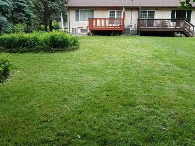 Lawn Care service in Roseville, 55113