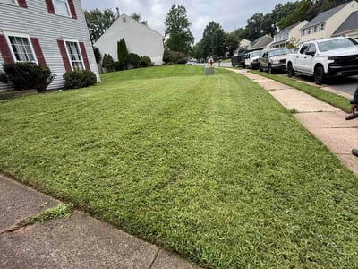 Lawn Care service in Sterling, 20164