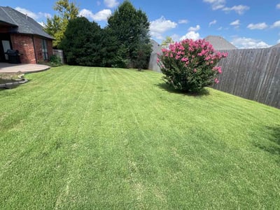 Lawn Care service in ,